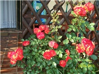 2155b69b-Picture 579.jpg